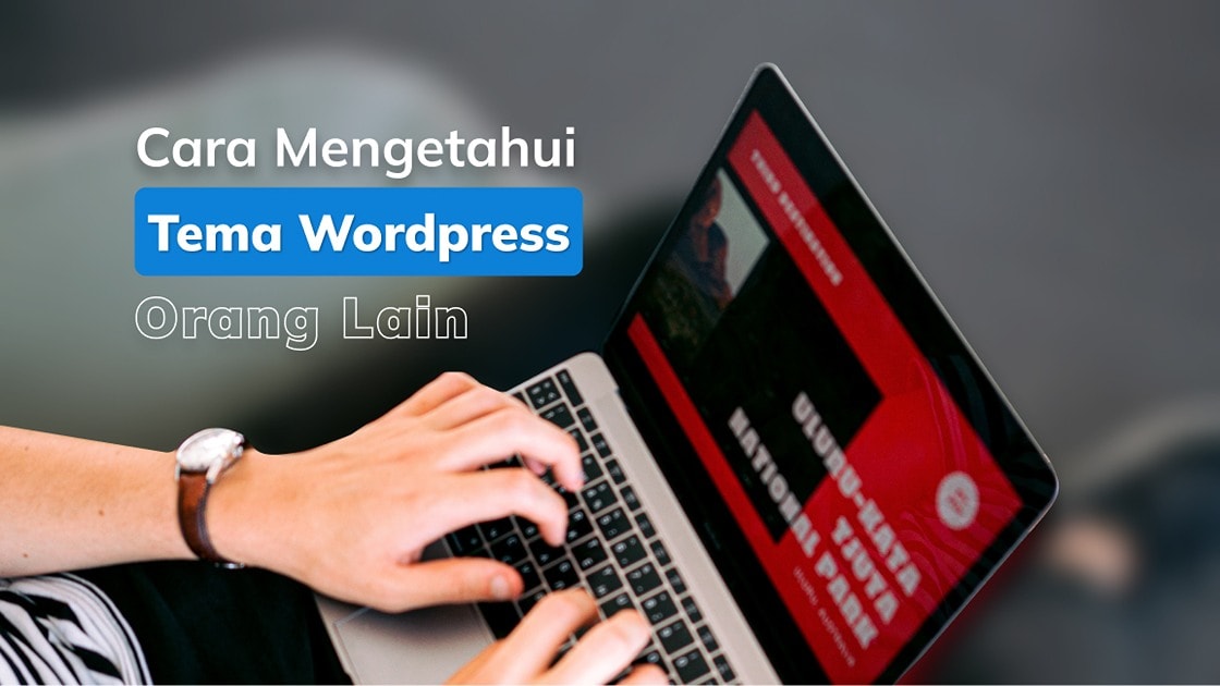 Cara Mengetahui Tema WordPress Pada Website